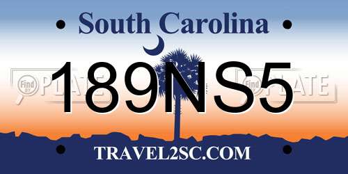 189NS5 South Carolina License Plate