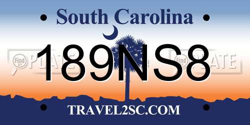 189NS8 South Carolina License Plate