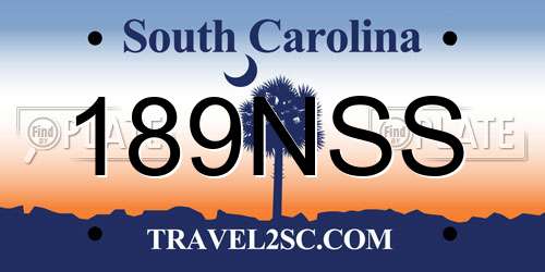 189NSS South Carolina License Plate