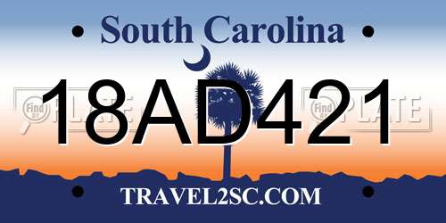 18AD421 South Carolina License Plate