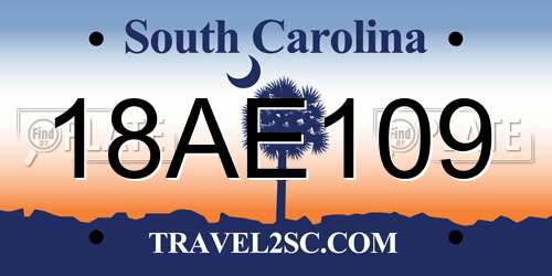 18AE109 South Carolina License Plate