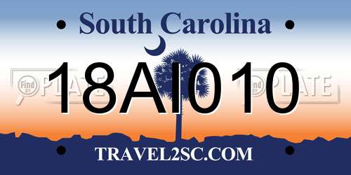 18AI010 South Carolina License Plate