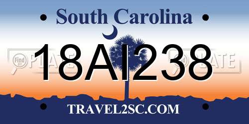 18AI238 South Carolina License Plate