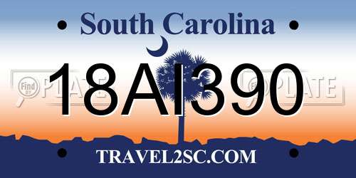 18AI390 South Carolina License Plate