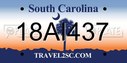 18AI437 South Carolina License Plate