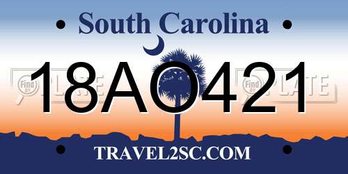 18AO421 South Carolina License Plate