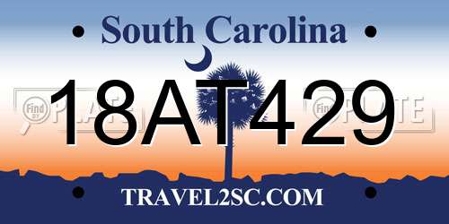 18AT429 South Carolina License Plate