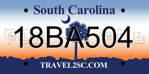 18BA504 South Carolina License Plate