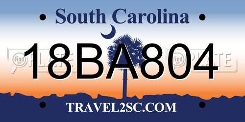 18BA804 South Carolina License Plate