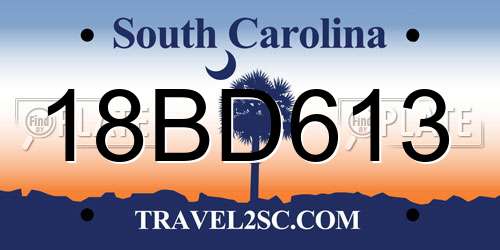 18BD613 South Carolina License Plate