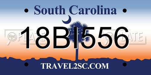 18BI556 South Carolina License Plate