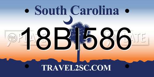 18BI586 South Carolina License Plate