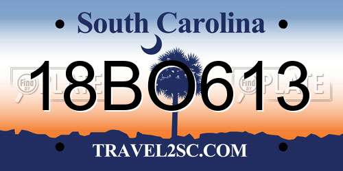 18BO613 South Carolina License Plate