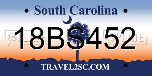 18BS452 South Carolina License Plate