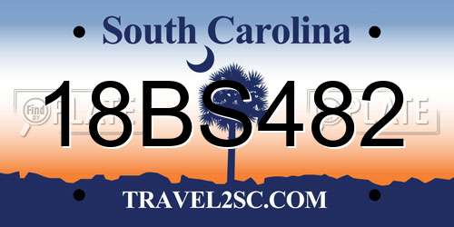 18BS482 South Carolina License Plate