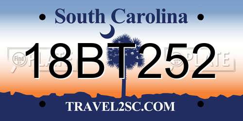 18BT252 South Carolina License Plate