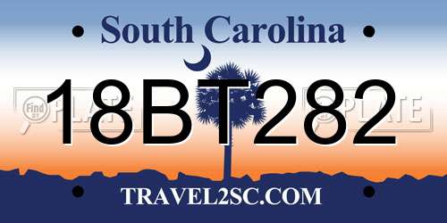 18BT282 South Carolina License Plate