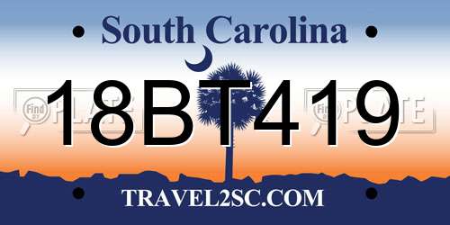18BT419 South Carolina License Plate