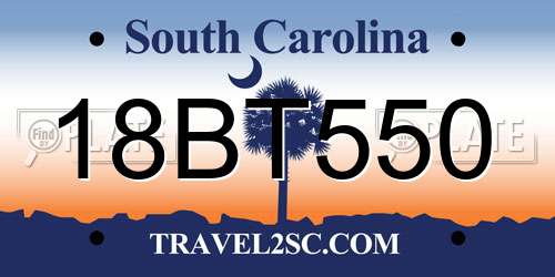 18BT550 South Carolina License Plate