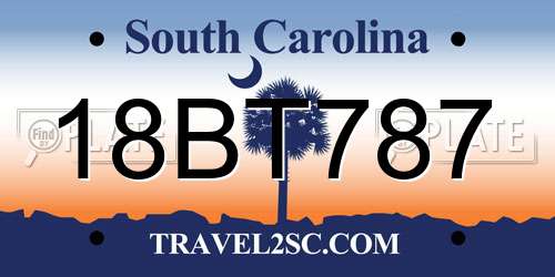 18BT787 South Carolina License Plate