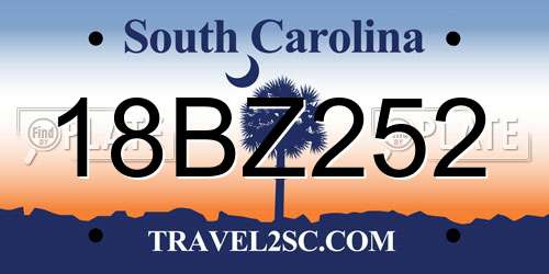 18BZ252 South Carolina License Plate