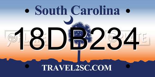 18DB234 South Carolina License Plate