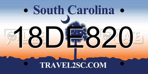 18DE820 South Carolina License Plate