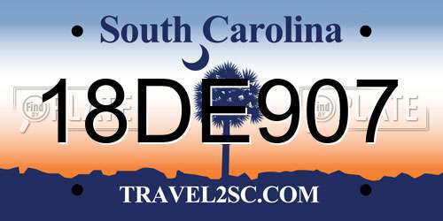 18DE907 South Carolina License Plate