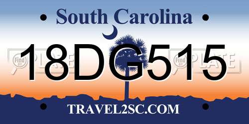 18DG515 South Carolina License Plate