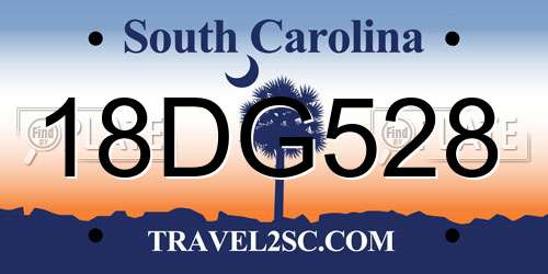 18DG528 South Carolina License Plate