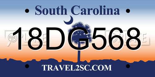 18DG568 South Carolina License Plate