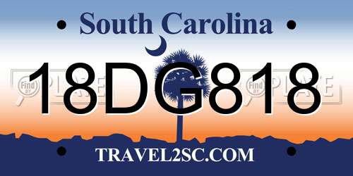 18DG818 South Carolina License Plate