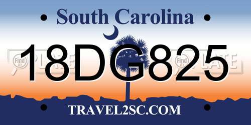 18DG825 South Carolina License Plate