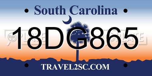18DG865 South Carolina License Plate