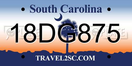 18DG875 South Carolina License Plate