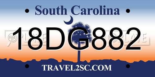 18DG882 South Carolina License Plate