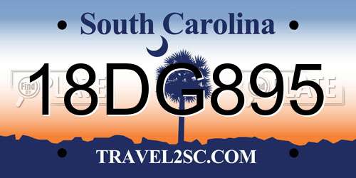 18DG895 South Carolina License Plate