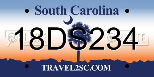 18DS234 South Carolina License Plate