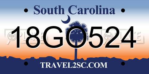 18GO524 South Carolina License Plate