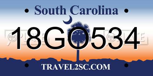 18GO534 South Carolina License Plate