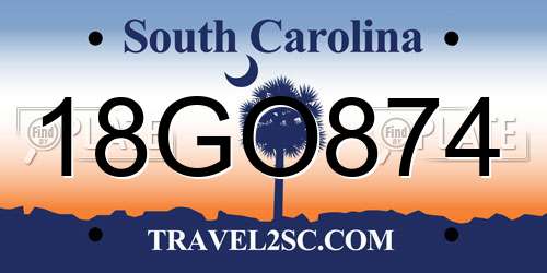 18GO874 South Carolina License Plate