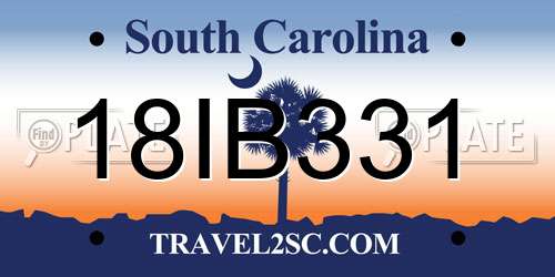18IB331 South Carolina License Plate
