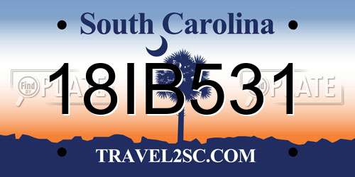 18IB531 South Carolina License Plate