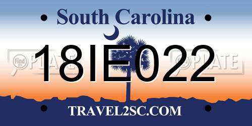 18IE022 South Carolina License Plate