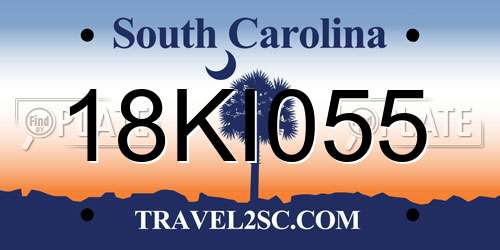 18KI055 South Carolina License Plate