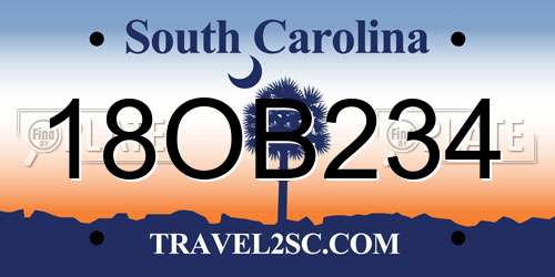 18OB234 South Carolina License Plate