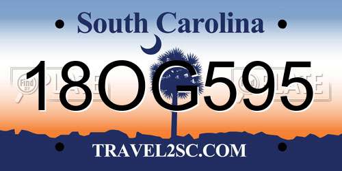 18OG595 South Carolina License Plate