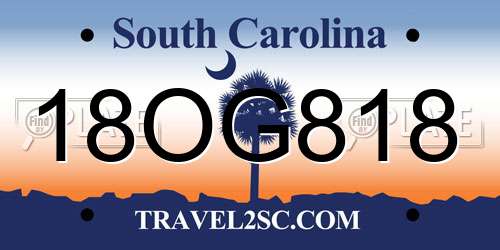 18OG818 South Carolina License Plate