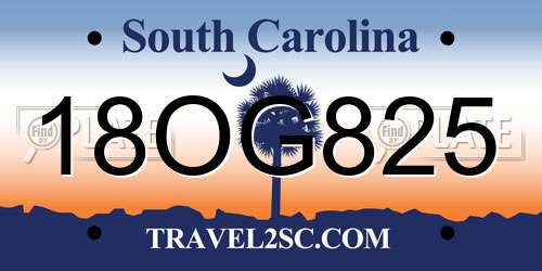 18OG825 South Carolina License Plate