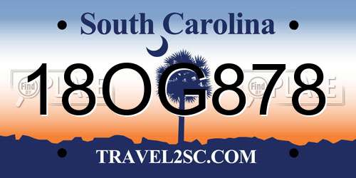 18OG878 South Carolina License Plate